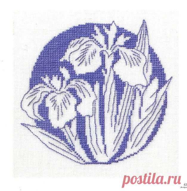 Яндекс.Фотки