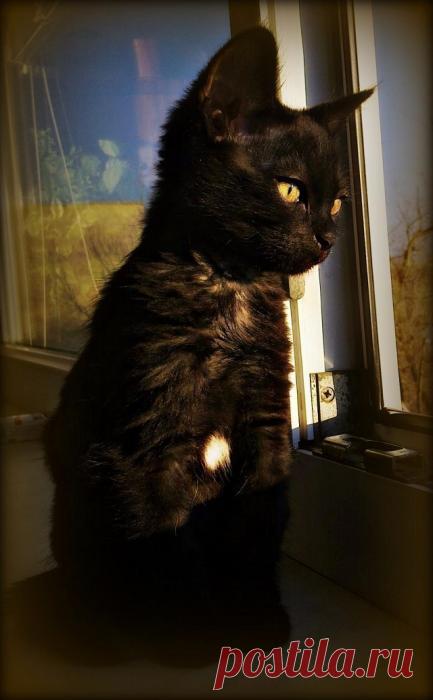 Долгое ожидание...