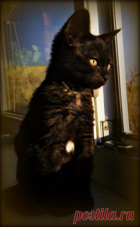 Долгое ожидание...