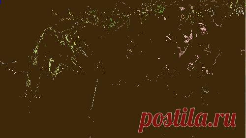 Уникальность.