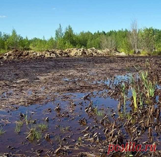 В Самарской области по пашне разлилась жидкость с нефтью