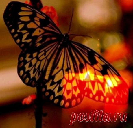 Фото Хроники - Sûfi ile Terapist