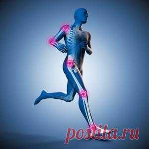 Сильные и здоровые суставы