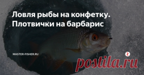 Ловля рыбы на конфетку. Плотвички на барбарис С детства всем знакомый и любимый вкус сосательных конфет «Дюшес» и «Барбарис», как оказалось по нраву и шустрым плотвичкам. Никогда не пробовали угостить ими рыбу?
Конфетка — в лунку
А попробуйте, просто, ради интереса бросить такую конфетку в лунку. Одна конфета, в принципе, ничего не решает, но при ловле на безмотыльные мормышки результат получился ошеломительным.
Кстати, только лунка с конфетк
