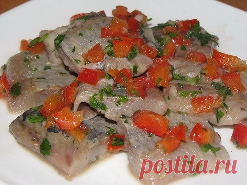 Сельдь Алтайская / Коллекция поделок