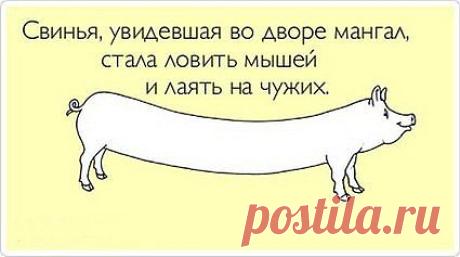 слова