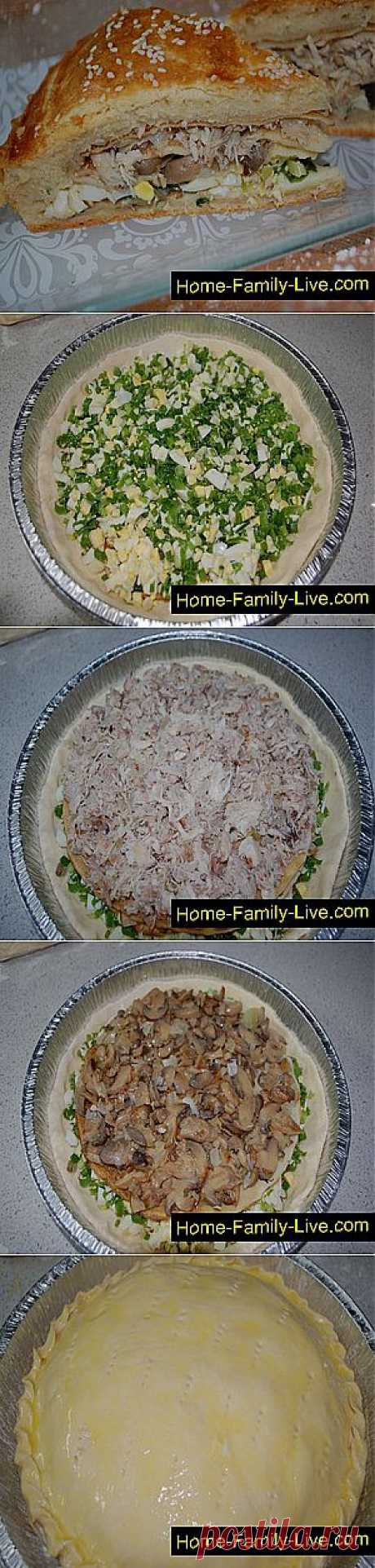 Кулинарные рецепты Курник с курицей и грибами » Кулинарные рецепты