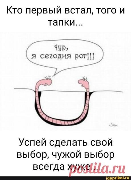 лучшие анекдоты https://t.me/anekdotes_pro/1629
