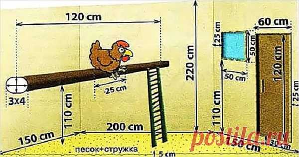Курятник своими руками на 10 и 20 кур - фото и чертежи | Курочка | Яндекс Дзен