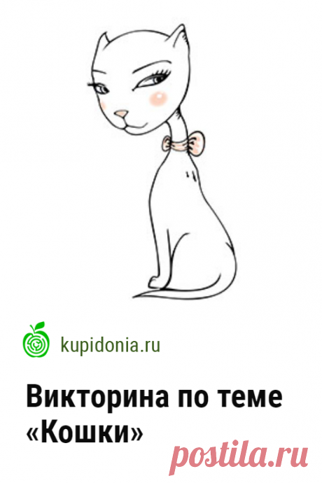 Викторина по теме «Кошки». Интересный тест о кошках из серии «Домашние животные». Пройдите тест на сайте и проверьте свои знания!