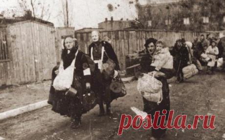 О депортации чеченцев и ингушей