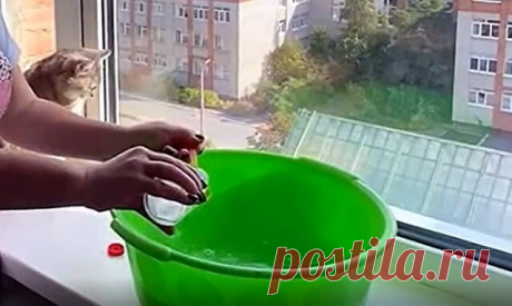Каждую весну мою окна методом без нашатыря. Ни грязи, ни пыли, а стекла не запотевают целый год. Делюсь методом тёти Мою окна дома каждую весну методом без нашатыря. После чего ни грязи, ни пыли, а окна не запотевают целый год. Метод моей тёти.