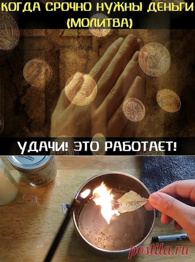 (50) Одноклассники