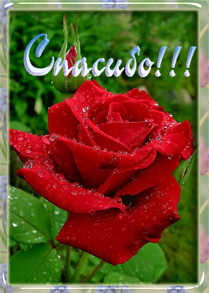 h-602.gif (429×600)