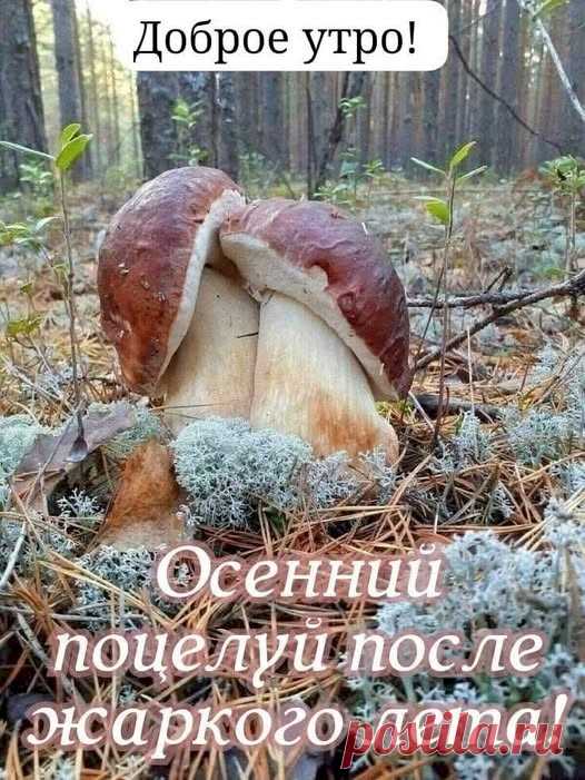 6f5969e6.jpg (526×701)