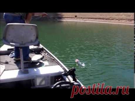 Trinity Lake Smallmouth and Largemouth Bass Fishing with Steve #2 April 28, 2014