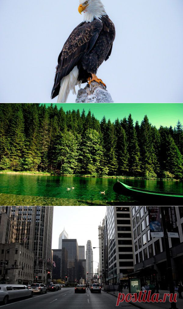 Ежедневная подборка обоев на рабочий стол (15 )