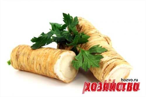 Хрен – аппетитная приправа, эффективное лекарство