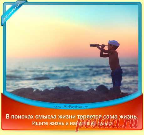 Позитивчики дня!