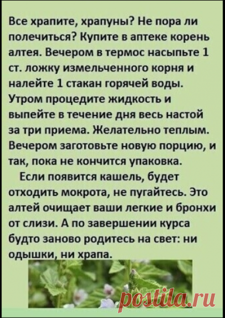 ✔️Секреты долголетия. О чем молчат врачи! — Разное | OK.RU