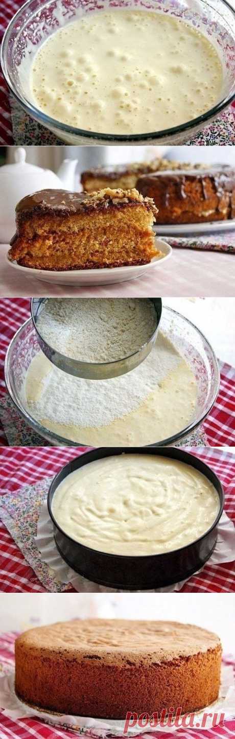 Медовый бисквит