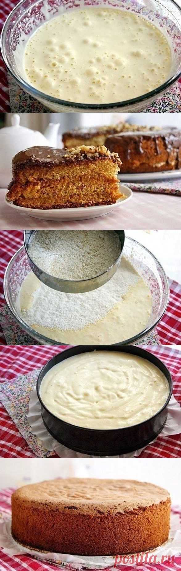 Медовый бисквит