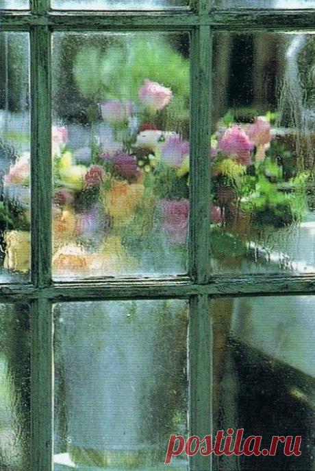 WINDOWS - Looking Out