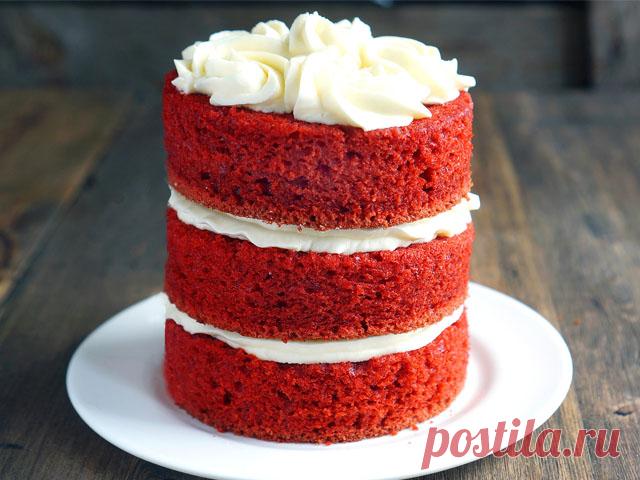 Торт «Красный бархат» — пошаговый рецепт в домашних условиях