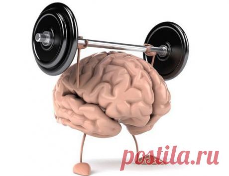 КАК ОПТИМИЗИРОВАТЬ ДЕЯТЕЛЬНОСТЬ НАШЕГО МОЗГА
Уже известно, что от этого зависит продолжительность жизни человека.

Вот 22 способа, которые помогут вам в этом

1. Развивайте серые клетки!

Считается, что при больших физических нагрузках у человека лучше развивается мозг. Ученые из Института Биологических Исследований "Salk", штат Калифорния, выяснили, что у мышей, бегающих во вращающемся колесе, вдвое больше клеток в той области мозга, которая отвечает за изучение и память....