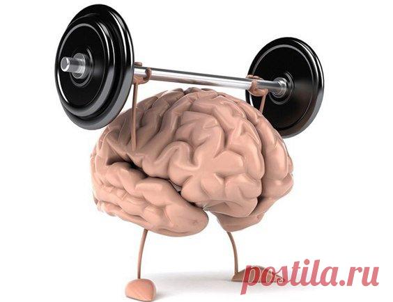 КАК ОПТИМИЗИРОВАТЬ ДЕЯТЕЛЬНОСТЬ НАШЕГО МОЗГА
Уже известно, что от этого зависит продолжительность жизни человека.

Вот 22 способа, которые помогут вам в этом

1. Развивайте серые клетки!

Считается, что при больших физических нагрузках у человека лучше развивается мозг. Ученые из Института Биологических Исследований 