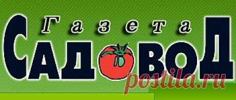 О ЯИЧНОЙ СКОРЛУПЕ » &quot;Газета садовод&quot; - сетевое издание