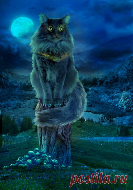 Картинки «кот Баюн» (28 фото) ⭐ Забавник
