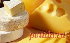 Закваски и ферменты