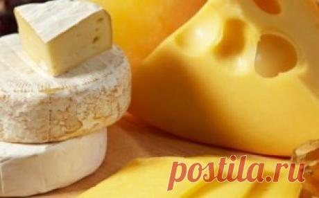 Закваски и ферменты