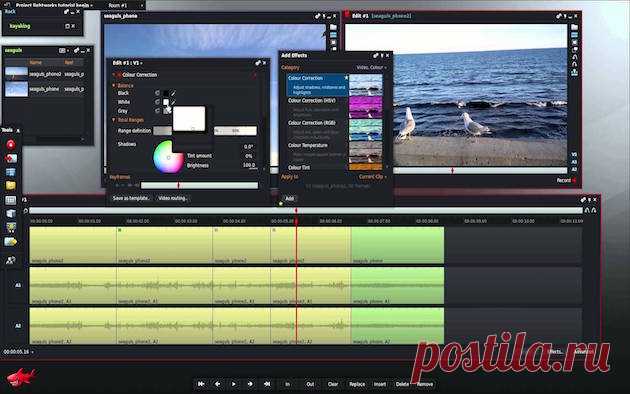 17 бесплатных графических и видео редакторов: отличная альтернатива для Adobe!