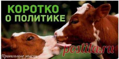 Феодализм: / Восприятие бизнеса