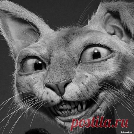 33 прикольные картинки для поднятия настроения . Тут забавно !!!