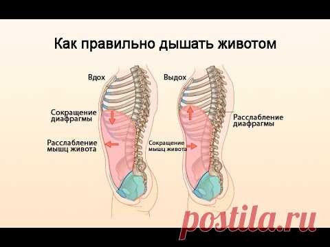 Как осваивать диафрагмальное дыхание.Дыхательные упражнения.Техника дыхания.
