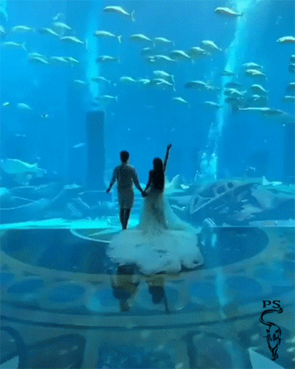 🍁 Че Love K 🍁 - Москва, Россия на Мой Мир@Mail.ru