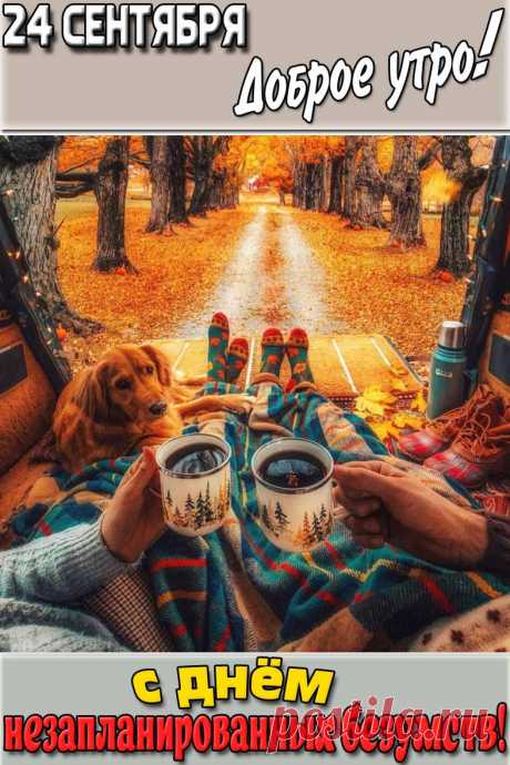 Желаю тебе не бояться быть собой, экспериментировать и открывать в себе новые грани. Открытки на День незапланированных безумств!