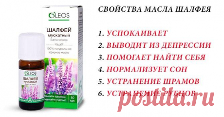 Масло шалфея: свойства и применение, противопоказания и вред