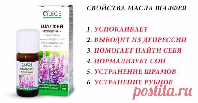 Масло шалфея: свойства и применение, противопоказания и вред