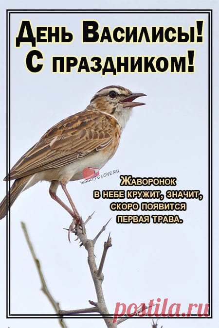 Василисин день! С праздником православные!