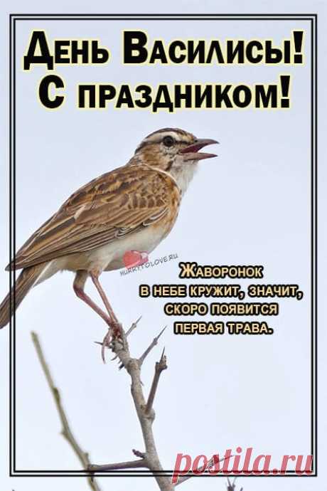 Василисин день! С праздником православные!