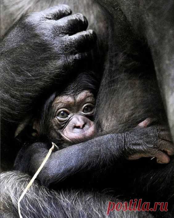 Pinterest