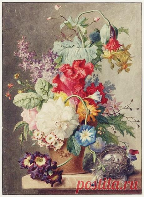 Художник Георг Якоб Иоганн Ван ОС. – Блог.ФАВ (Анатолий Фёдоров), пользователь Анатолий Федоров | Группы Мой Мир