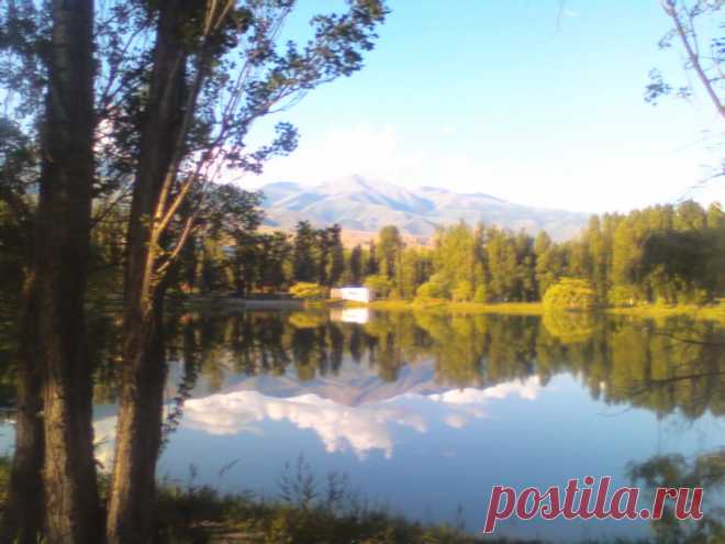 Аврора