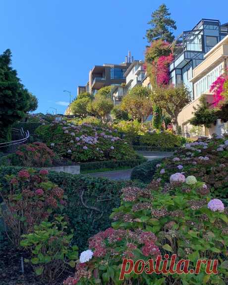 pom chu seven krub в Instagram: «#sanfrancisco #travel #travelphotography #travelblogger #instatravel #usa #westcoast #america #sfo #svencation #lombardstreet» 61 отметок «Нравится», 1 комментариев — pom chu seven krub (@looking4thenext) в Instagram: «#sanfrancisco #travel #travelphotography #travelblogger #instatravel #usa #westcoast #america #sfo…»