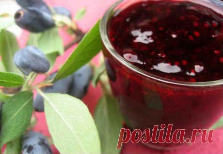 Жимолость - рецепты заготовок на зиму, варенье, компот, джем