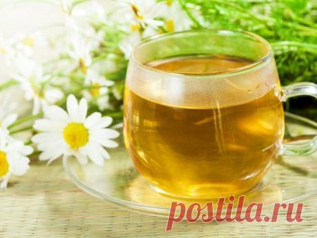 Успокоительное с грядки | Wclub.ru